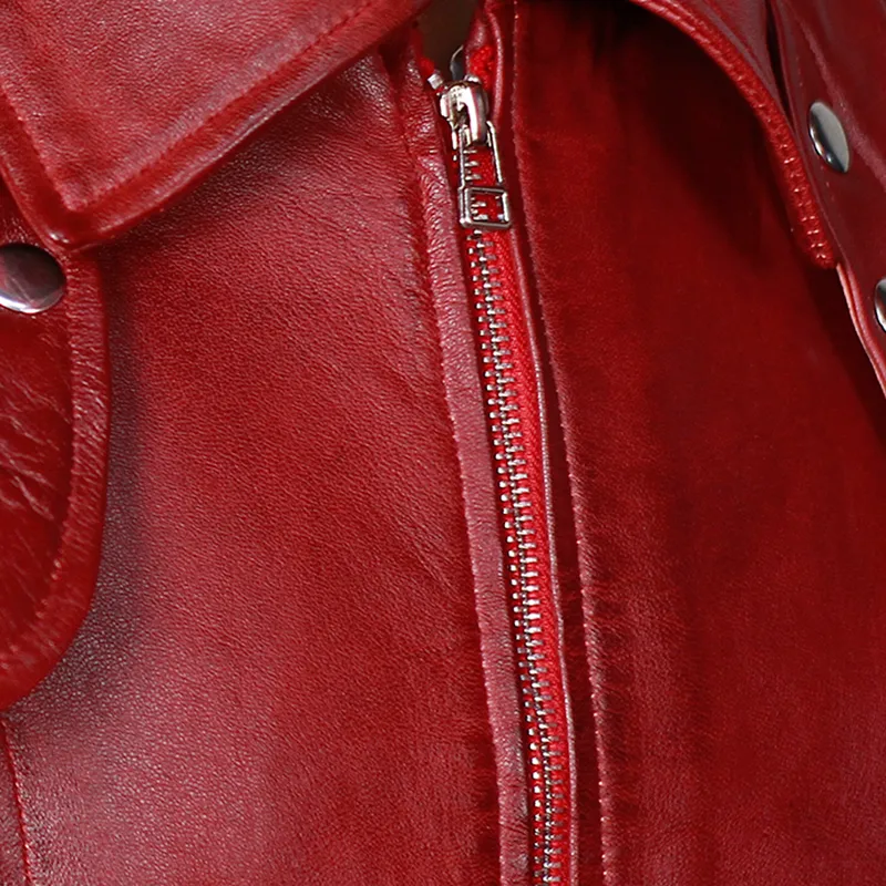 DMC 5 Dant-e Faux Leather Jacket